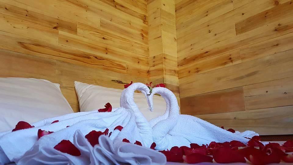 Ta Van Green Hills Homestay 萨帕 外观 照片