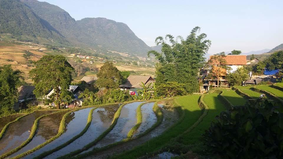 Ta Van Green Hills Homestay 萨帕 外观 照片