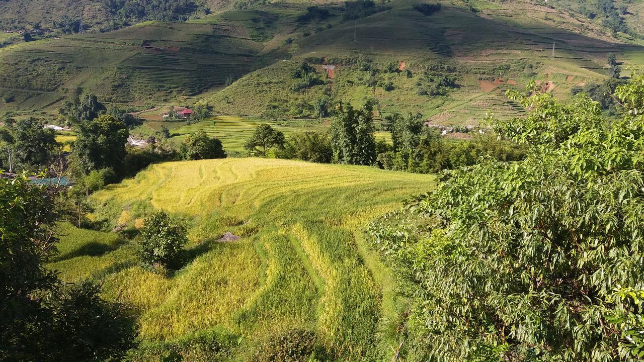 Ta Van Green Hills Homestay 萨帕 外观 照片
