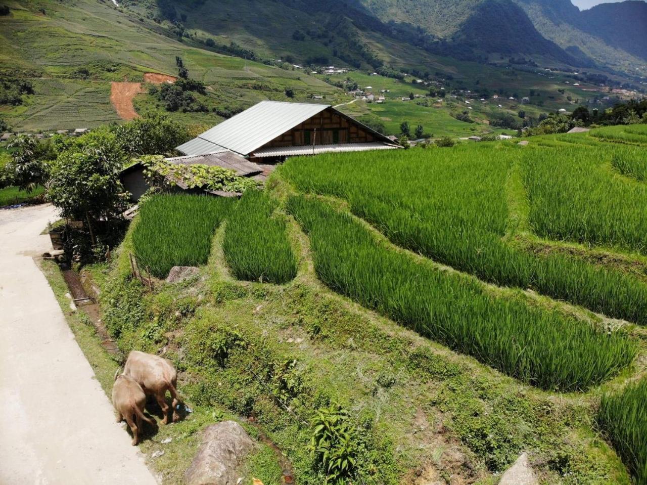 Ta Van Green Hills Homestay 萨帕 外观 照片