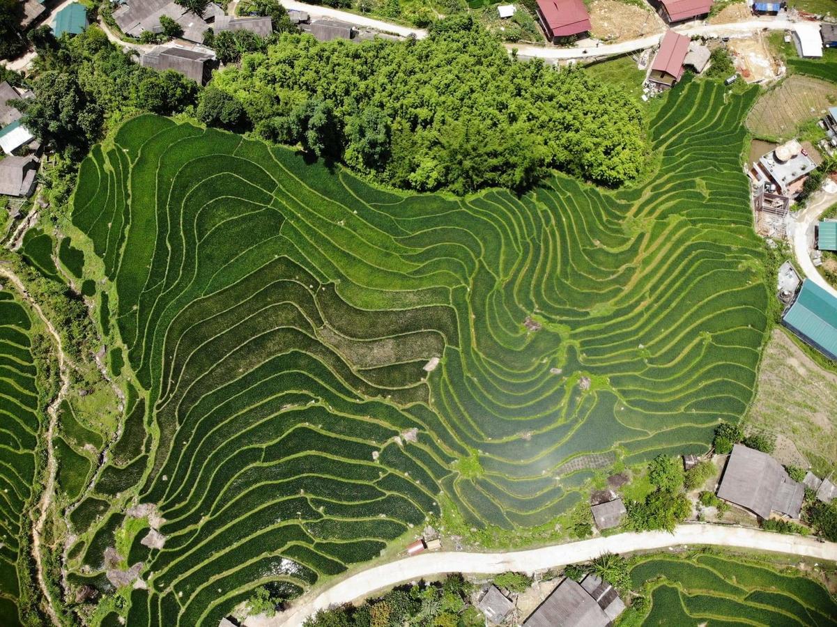 Ta Van Green Hills Homestay 萨帕 外观 照片