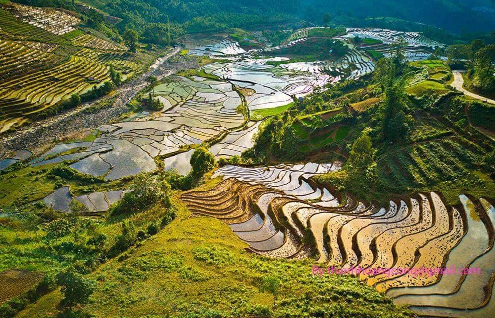 Ta Van Green Hills Homestay 萨帕 外观 照片